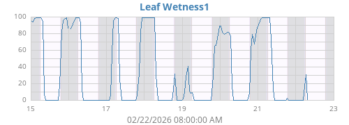 weekwetleaf